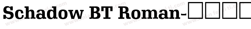 Schadow BT Roman字体转换